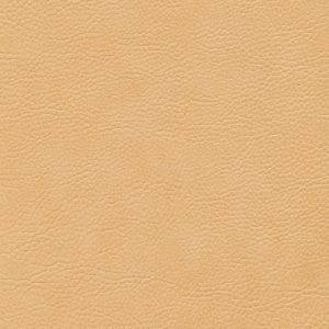 Skai Sotega camel F5070635