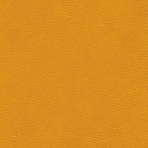 Skai Sotega mango F5070636