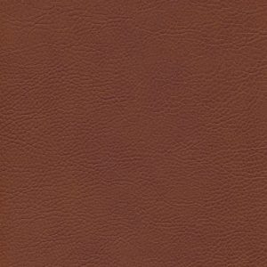 Skai Sotega marone F5070640