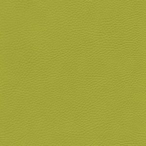 Skai Sotega limone F5071017