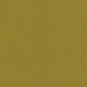 Skai Sotega olive F5071125