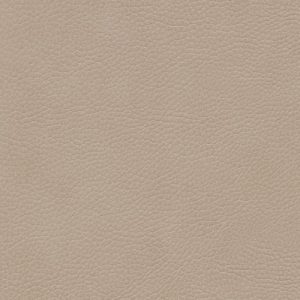Skai® Parotega birke