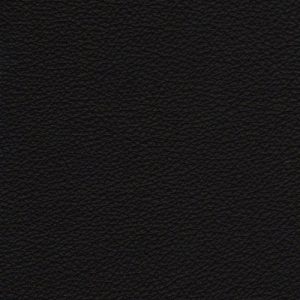 Protect Echtleder schwarz P1000