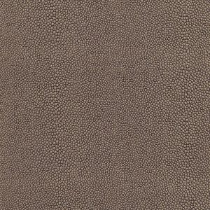 Skai® Soshagro choco-cream F5076034