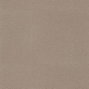 Skai® Soshagro fog F5076038