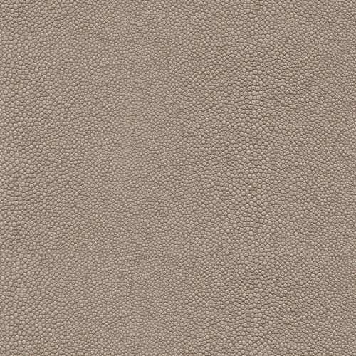 Skai® Soshagro fog F5076038