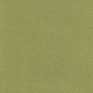 Skai® Soshagro green F5076042