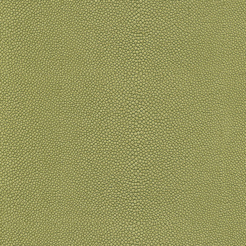 Skai® Soshagro green F5076042