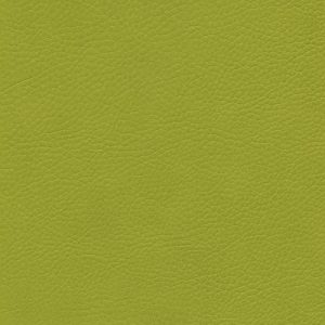 Skai® Parotega limone F6461657