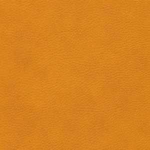 Skai® Parotega mango F6461666