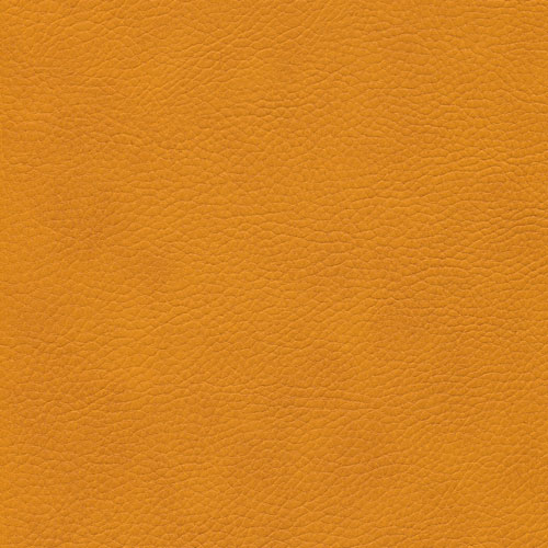 Skai® Parotega mango F6461666