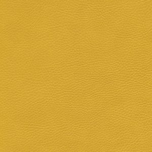 Skai® Parotega mais F6461706