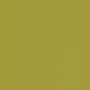 laif VyP Nappa lime