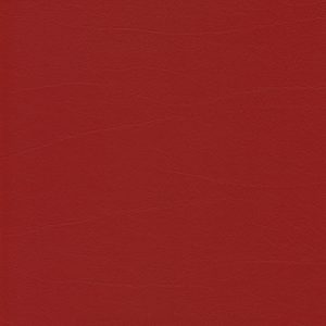 Skai Tundra kirsche