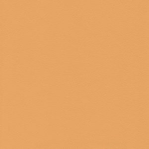 Skai Tundra apricot