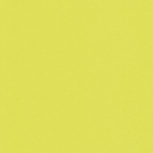 Skai® Gemini light green