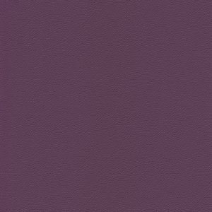 Skai® Gemini purple