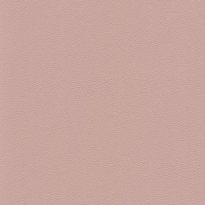 Skai® Gemini powder rose