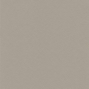 skai® Toronto birch