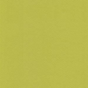 skai® Evida lime