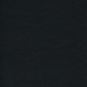skai® Evida black
