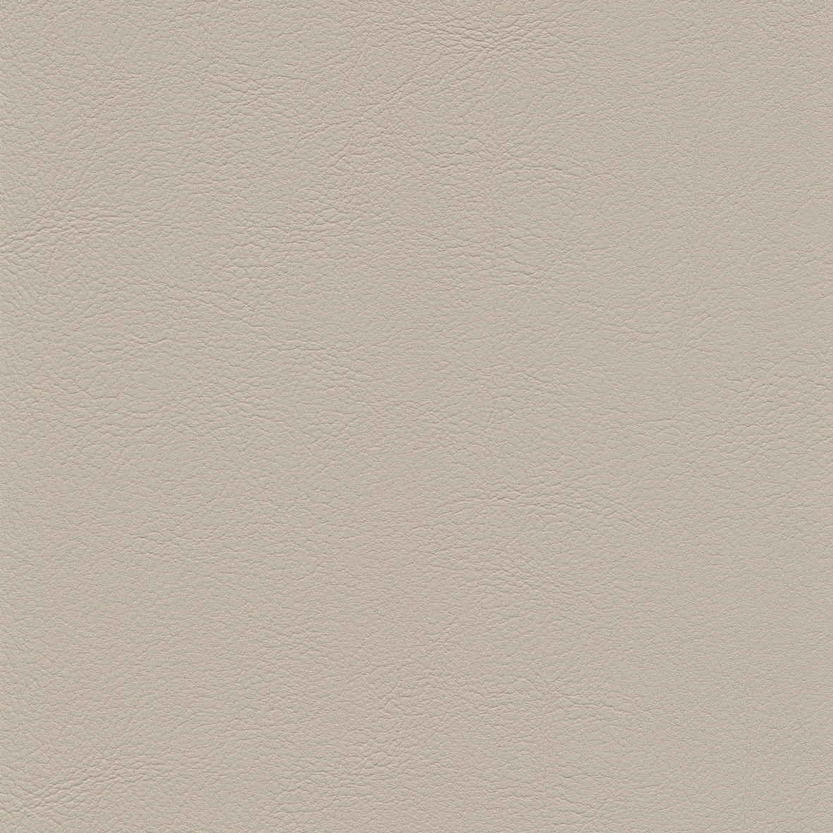 skai® Evida birch