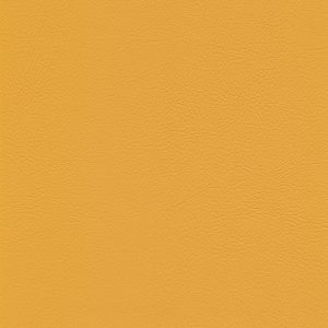skai® Evida curry