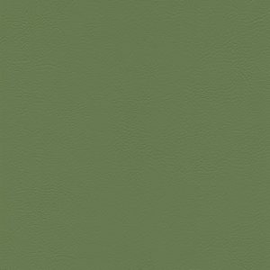 skai® Evida cactus